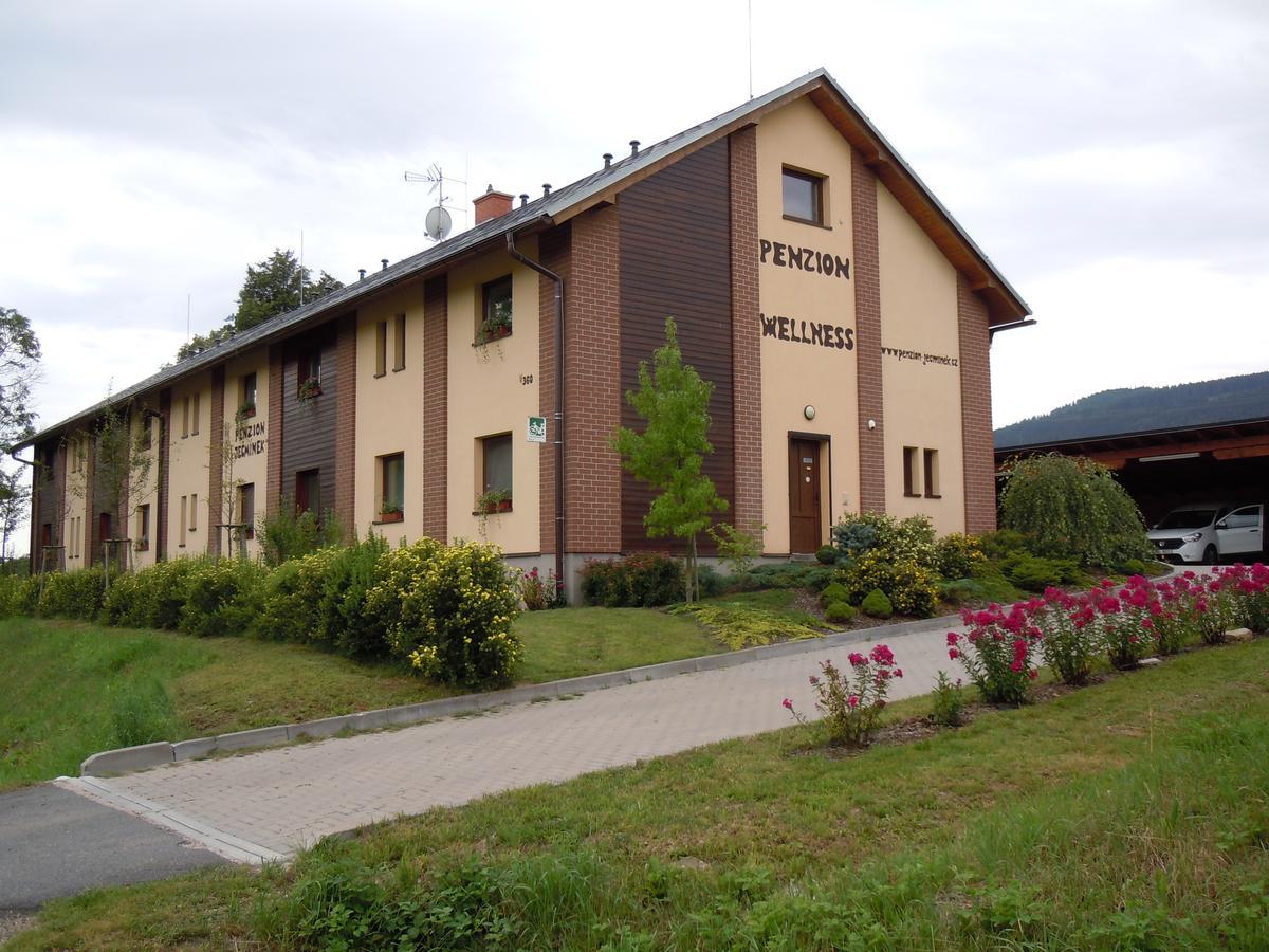 Penzion Jecminek Červená Voda Dış mekan fotoğraf
